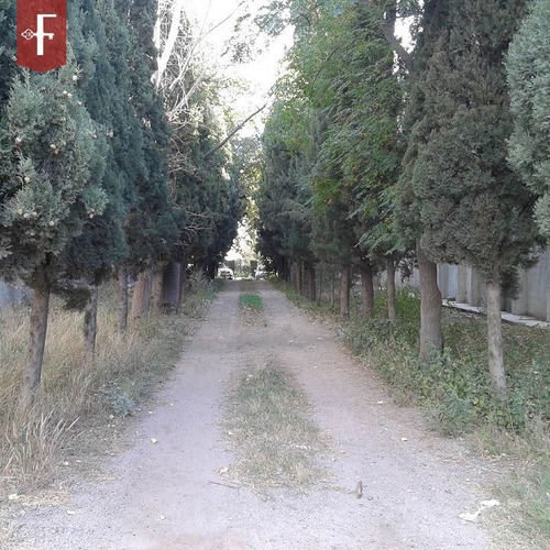 Imagen 5 de 9 de Galpon En Venta En San Luis