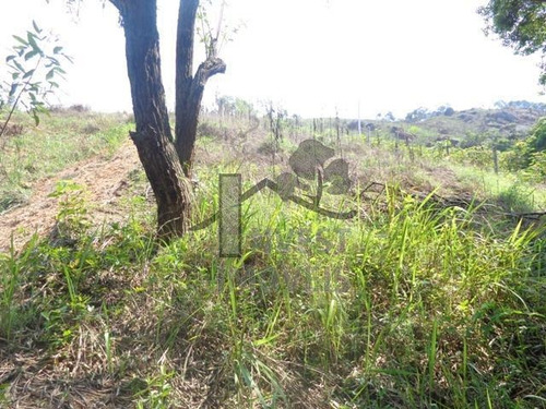 Imagem 6 de 7 de Cód 1122 - Terreno De 7.170 M² Com Lago. - 1122