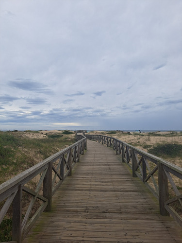 Photo Landscape Summer Beach 