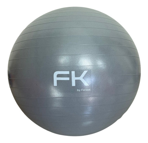 Pelota 95cm Bobath Pilates Yoga Ball Ejercicio Fitness Sport