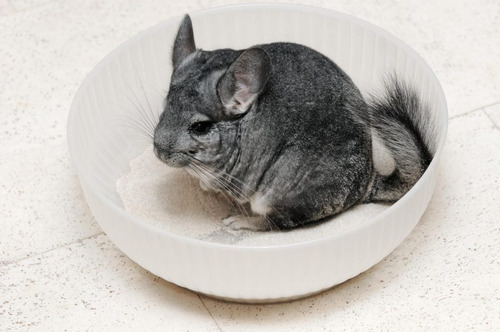 Imagen 4 de 10 de Piedra Rocas Roer Hamster Chinchilla Jerbo Lava Bites Kaytee