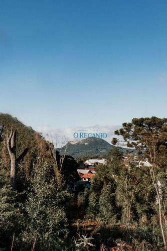 Imagem 5 de 15 de Terreno À Venda, 324 M² Por R$ 231.674,30 - Várzea Grande - Gramado/rs - Te0820