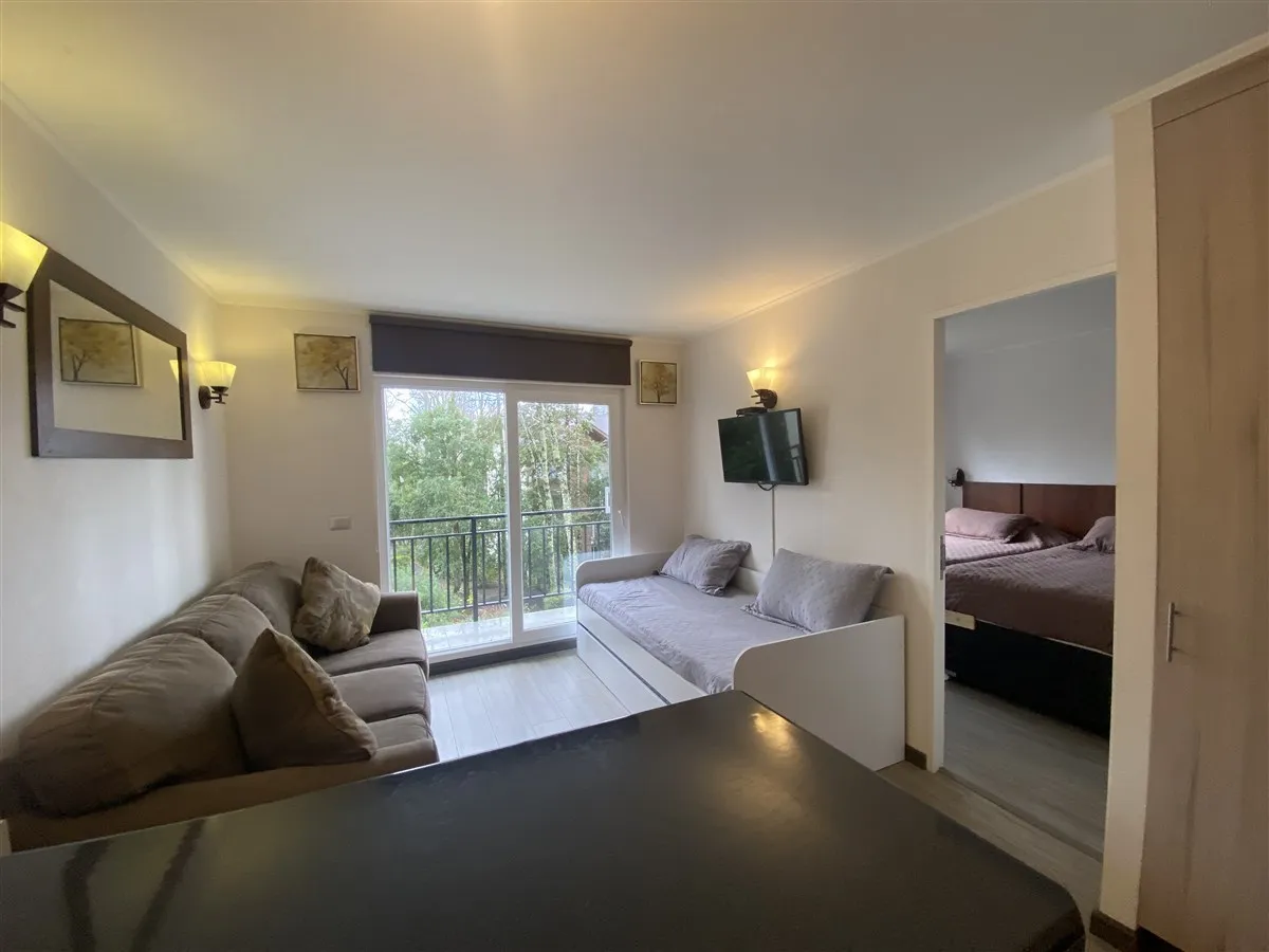 Imagen 1 de 20 de Venta Acogedor Departamento De 1 Dorm. 2 Ambientes En Pucón