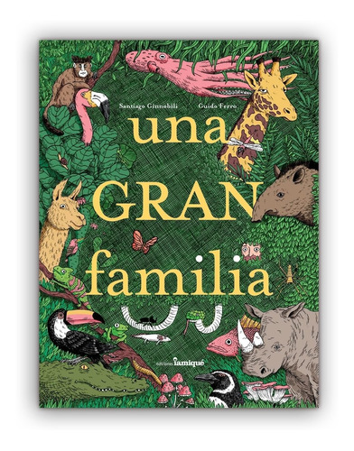 Libro Una Gran Familia - Ginnobili Y Ferro