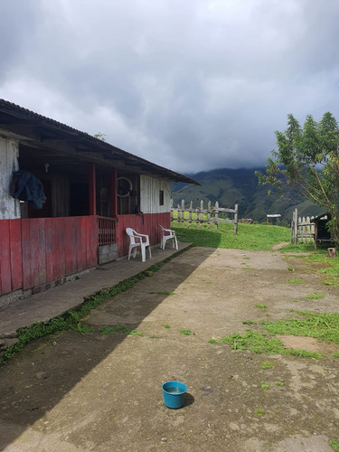 Se Vende Finca Génova Quindío 