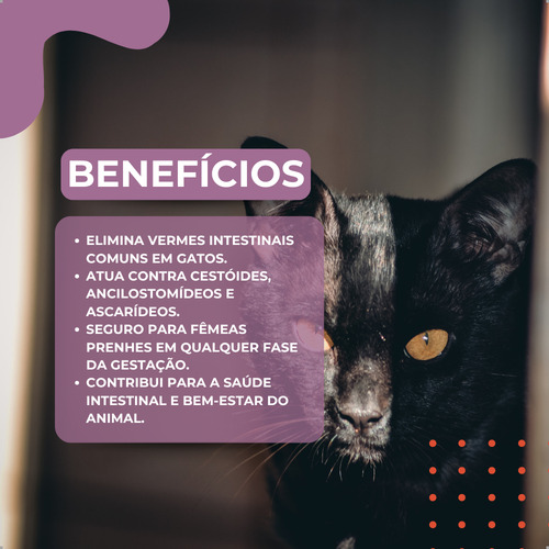 Kit 2 Chemital Vermífugo Gatos 4 Comprimidos Chemitec | Lojão Do Ferro