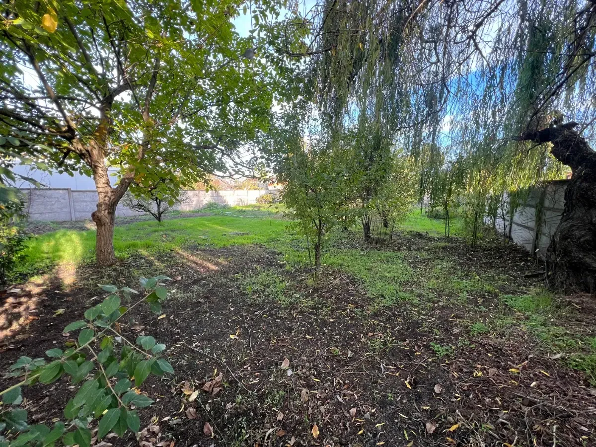 Imagen 3 de 8 de Terreno Con Casas En Venta - Excelente Ubicación Y Potencial