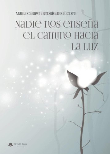 Libro: Nadie Nos Enseña El Camino Hacia La Luz (spanish Edit