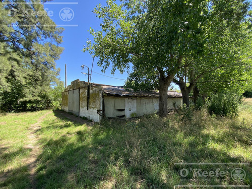 Terreno En Coronel Brandsen 1 Ha