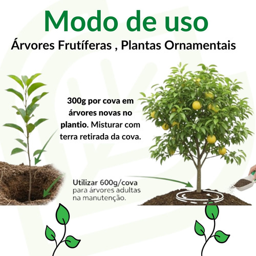 Melhor Adubo Rosa Deserto 2kg Com Microrganismos Eficientes