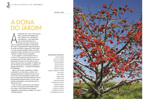 Enciclopédia De Árvores: Volume 2, De Valerio, Romahn., Vol. 2. Editorial Editora Europa, Capa Mole, Edição 1 Em Português, 2022