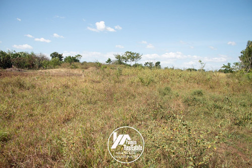 Imagen 3 de 11 de Venta De Finca Agricola En Masaya