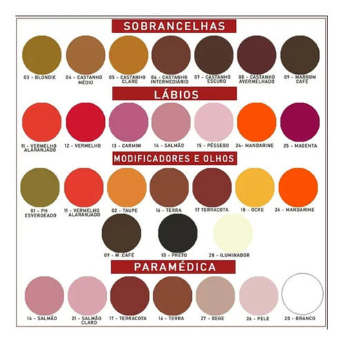 Pigmento Iron Works 5ml Micropigmentação Sobrancelhas Lábios