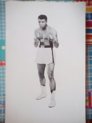 More Than A Champion The Style Of Muhammad Ali De Jan Philip