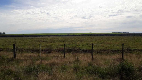 Fazenda Com 4.200 Hectares Para Lavoura E Pecuária - Rs