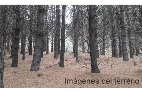 Imagen 8 de 14 de Lote De 1500 M2 Con Fondo Al Campo De Golf
