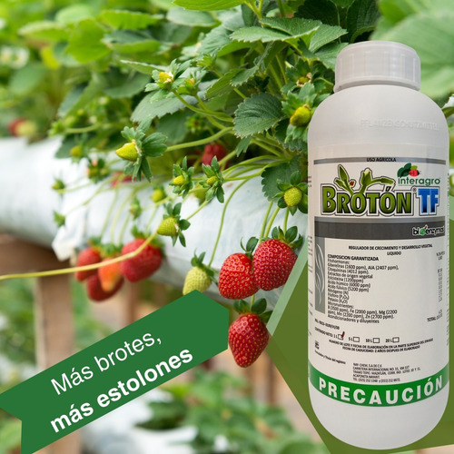 Brotón 1 Litro Brotes Vegetativos + Sienrmin Super