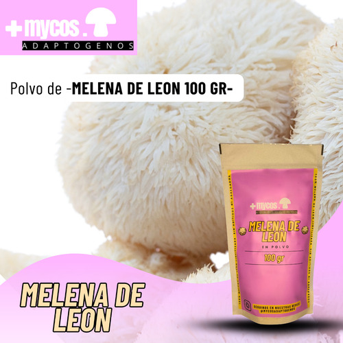 Melena De Leon En Polvo Premium Hongo Adaptogeno 100 Gr Melena De León