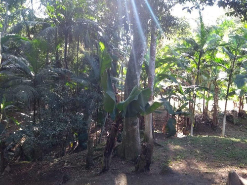 Chácara Com 2 Dormitórios À Venda, 8000 M² Por R$ 85.000,00 - Rio Sagrado - Morretes/pr - Ch0118