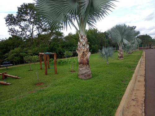 Imagem 9 de 10 de Terrenos - Ref: V51242