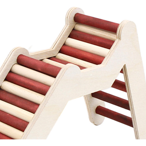Puente Para Hámster, Escalera Para Escalera En Forma De M