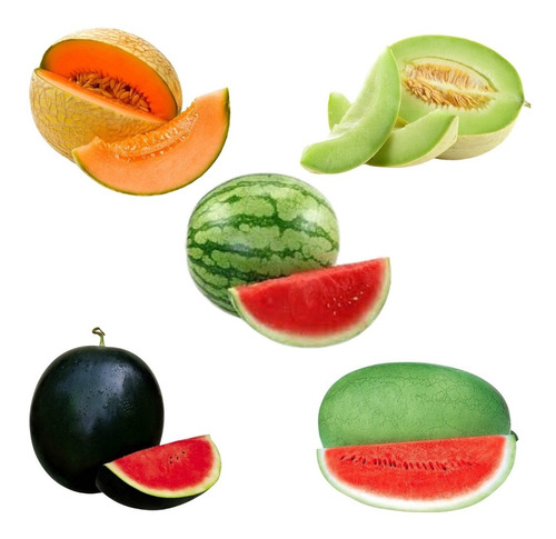Imagen 1 de 7 de Combo Semillas 2 Melones Y 3 Sandias (5 Variedades)