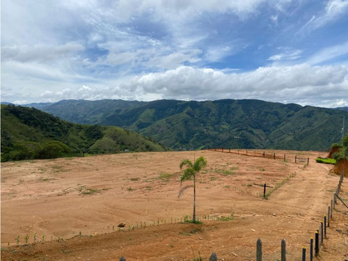 Lotes En Venta En Cisneros - Antioquia