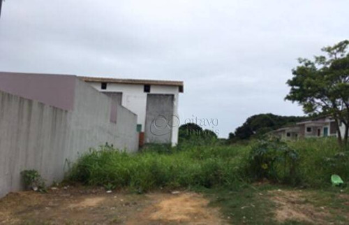 Imagem 2 de 2 de Excelente Terreno À Venda Na Granja Dos Cavaleiros, Macaé/rj. - Te0523