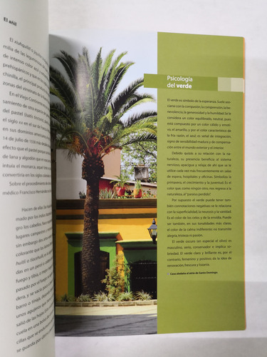 Los Colores De Oaxaca - Comex (Usado)