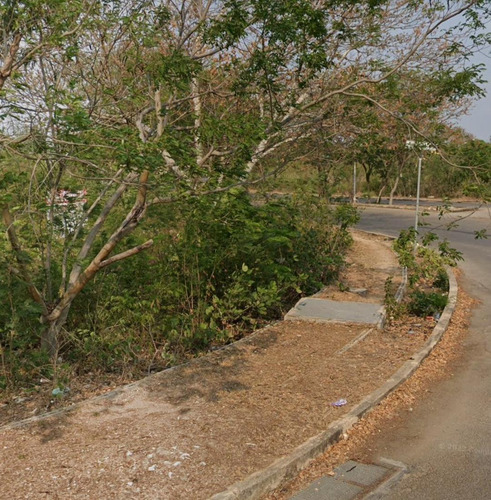 Terreno Sobre Avenida Principal En Ciudad Caucel