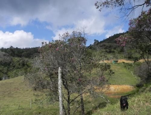 Imagen 14 de 14 de Terreno Para Adecuación De Finca Agrícola O Ganadera. Mfpp Rah