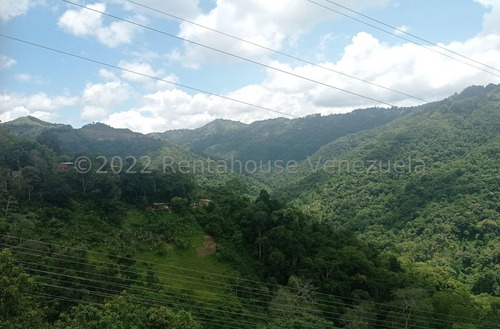 Imagen 9 de 11 de Terreno De 5.000 Mts2 Con Casa Y 2 Locales Comerciales Ym