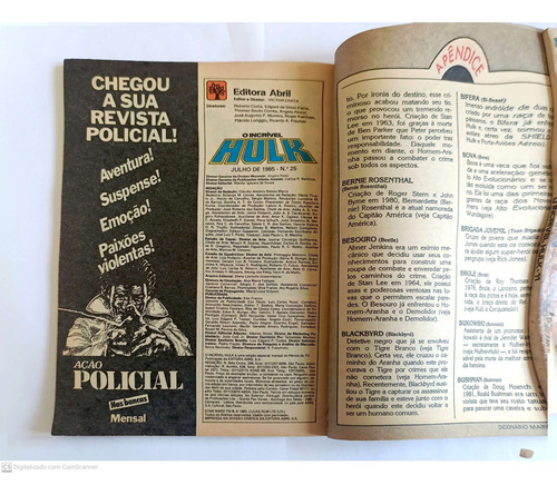 O Incrível Hulk - Ed Abril No 25 Jul 1985 - C/ Dicio (Usado)