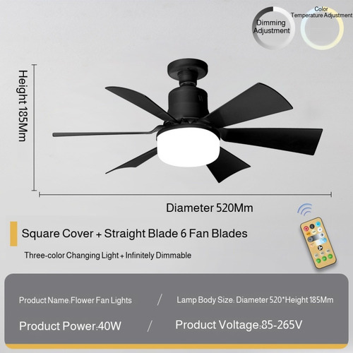 Ventiladores Elétricos E Lanternas Pequenas Com Controle