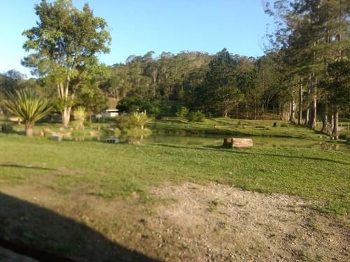 Imagem 23 de 26 de Sitio Pé De Jaca Em Juquitiba Cód.: 4600