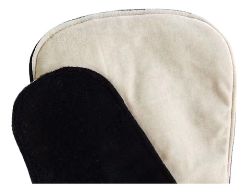 Cubierta De Polvo De ViolĂn, Protector De Beige