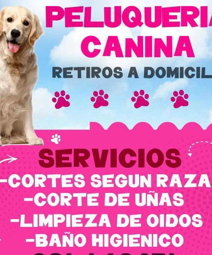 Peluquería Canina Retiro A Domicilio