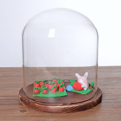 X 5pcs 7x12cm Cúpula De Terrários Suculentos De Plantas A