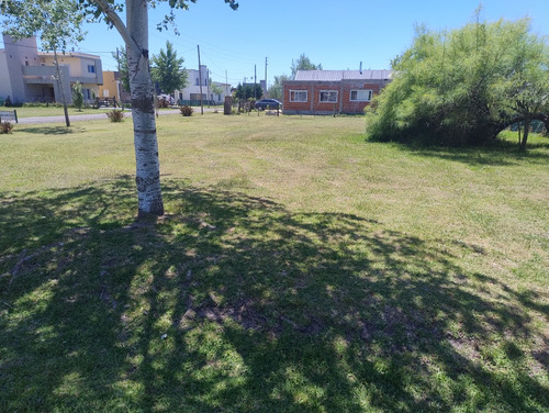 Lote Dommselar Chico 600 M2