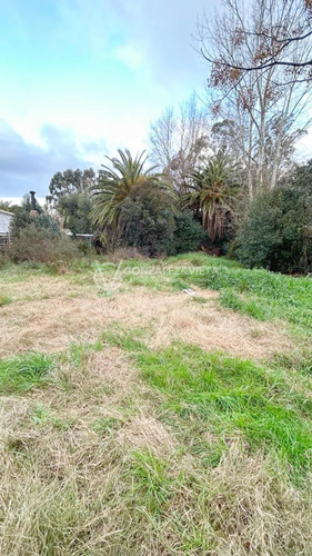 Terreno Campo Venta Puntas De Manga