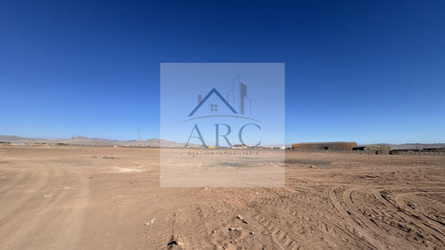 Se Arrienda Terreno De 5000 M² En Sector De La Negra