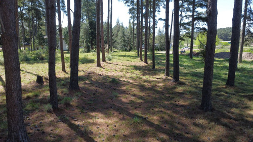 Venta De Lotes 2.500 Mts.2 En Chacras Del Pinar, Maldonado (ref: Iea-2089)