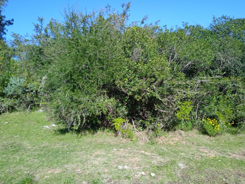 Campo De 43 Hectáreas En Las Cañas