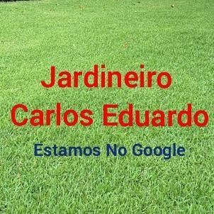 Imagem 1 de 5 de Serviço E Acessória De Jardinagem