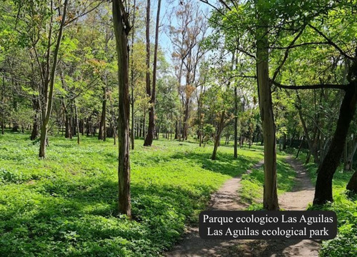 Penthouse De Lujo, Techo Alto, Con Amenidades: Cine, Alberca