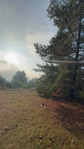 Terreno En Algarrobo Norte, Excelente Ubicación, 5.000 M2.