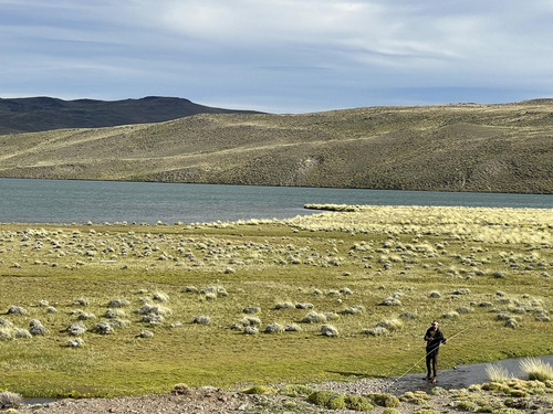 Campo En Santa Cruz