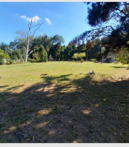 Imagen 4 de 8 de Lote Con Casa