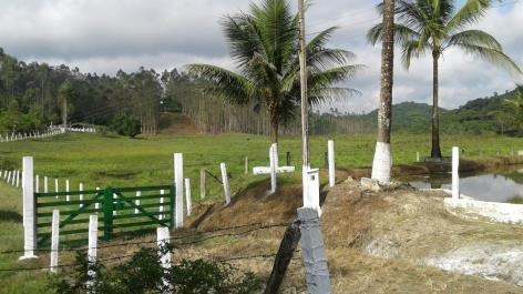Imagem 9 de 18 de Linda Fazenda - Municipio De Sete Barras - Ven23