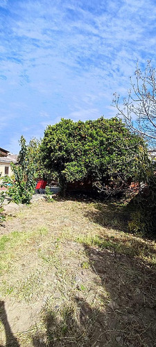 Se Vende O Arrienda Casa En Constitución